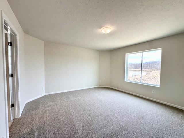 4243 Old Farm Drive Property Photo 17