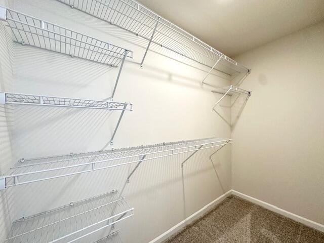 4243 Old Farm Drive Property Photo 19