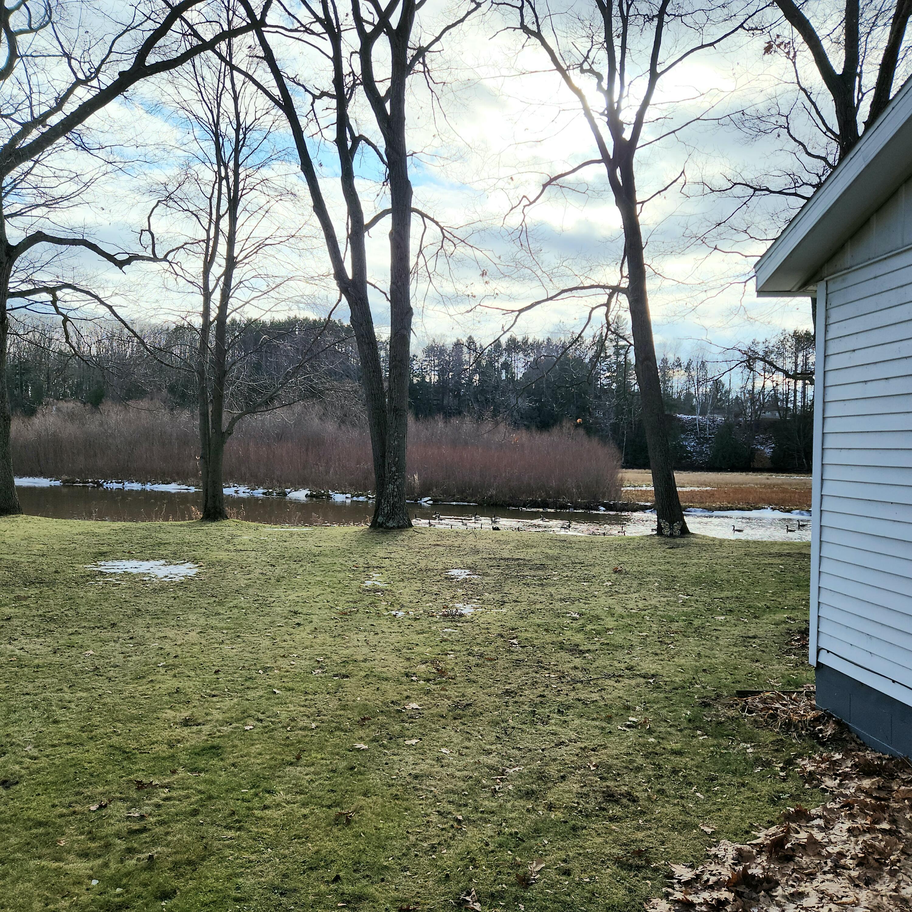 18205 12 Mile Road Property Photo 6