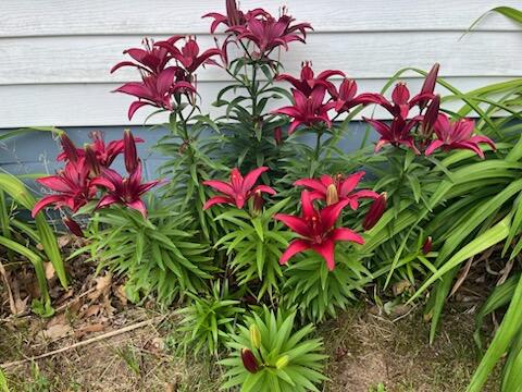 18205 12 Mile Road Property Photo 24