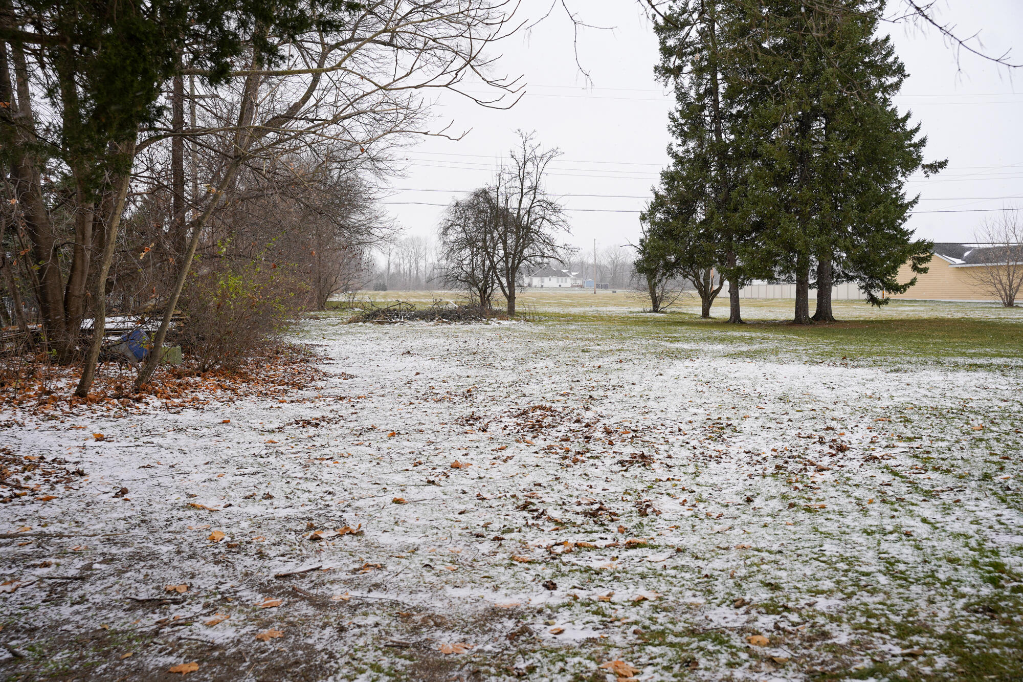 14040 Elwell Road Property Photo 25