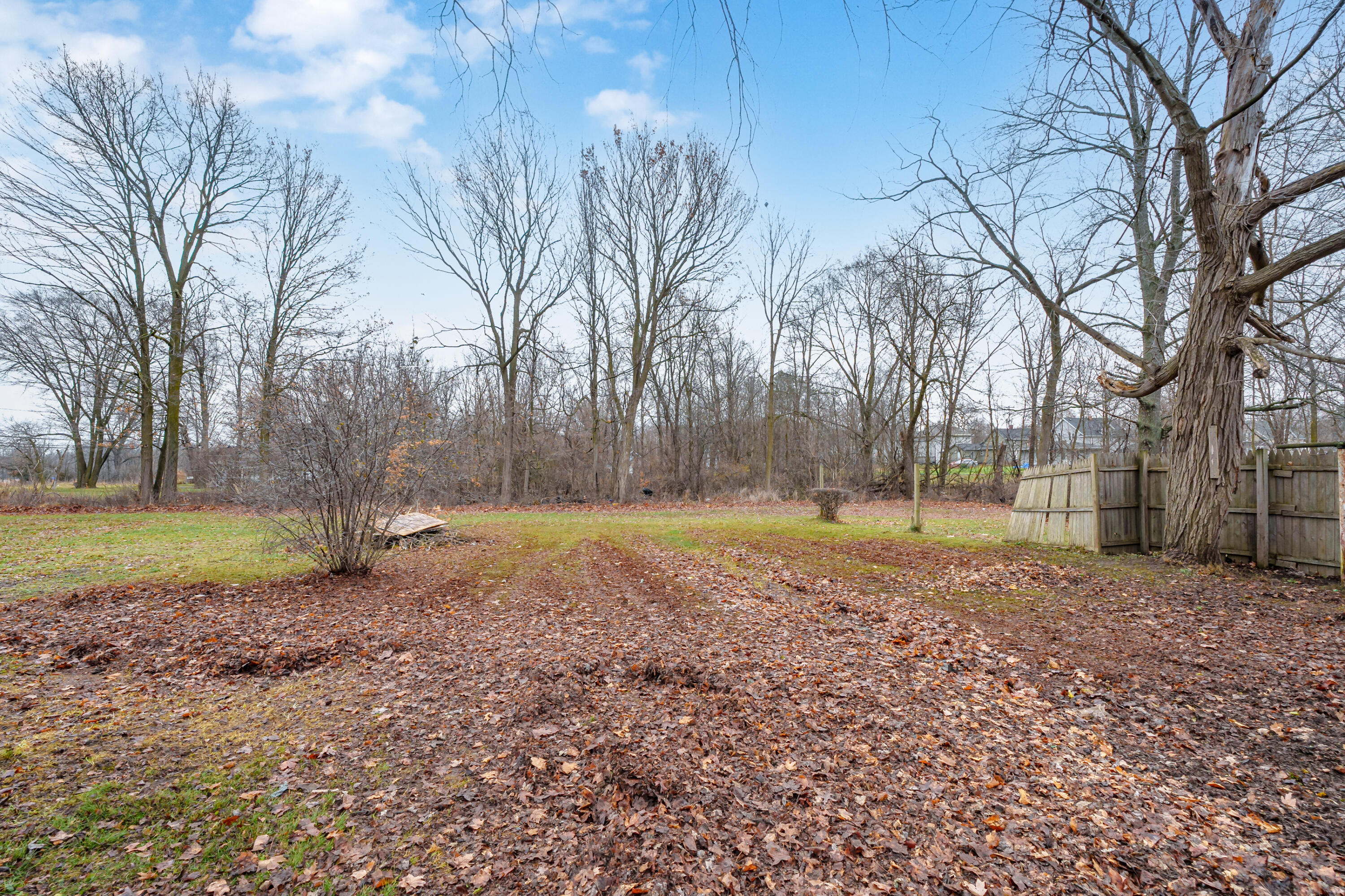 202 Roseneath Avenue Property Photo 23