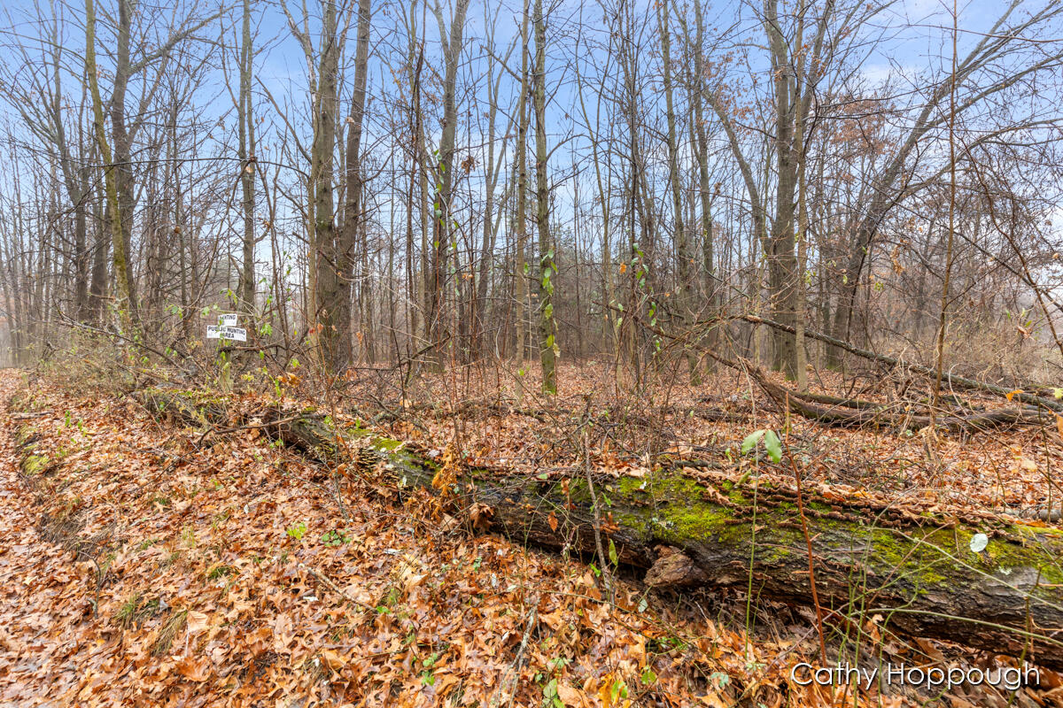 V/l W Snows Lake Road, Parcel 1 Property Photo
