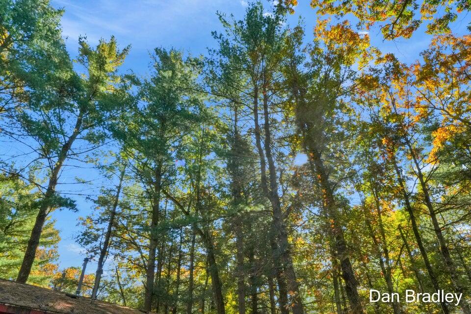 0 Mackinaw Trail Property Photo