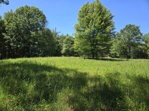 3371 Noble Road Property Photo 62