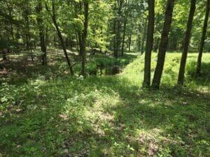 3371 Noble Road Property Photo 63