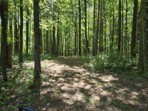 3371 Noble Road Property Photo 65