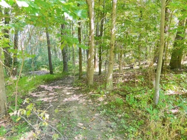 59445 Farrand Road Property Photo 23
