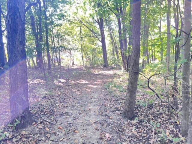 59445 Farrand Road Property Photo 24