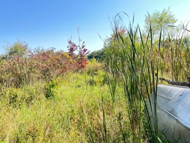 59445 Farrand Road Property Photo 25