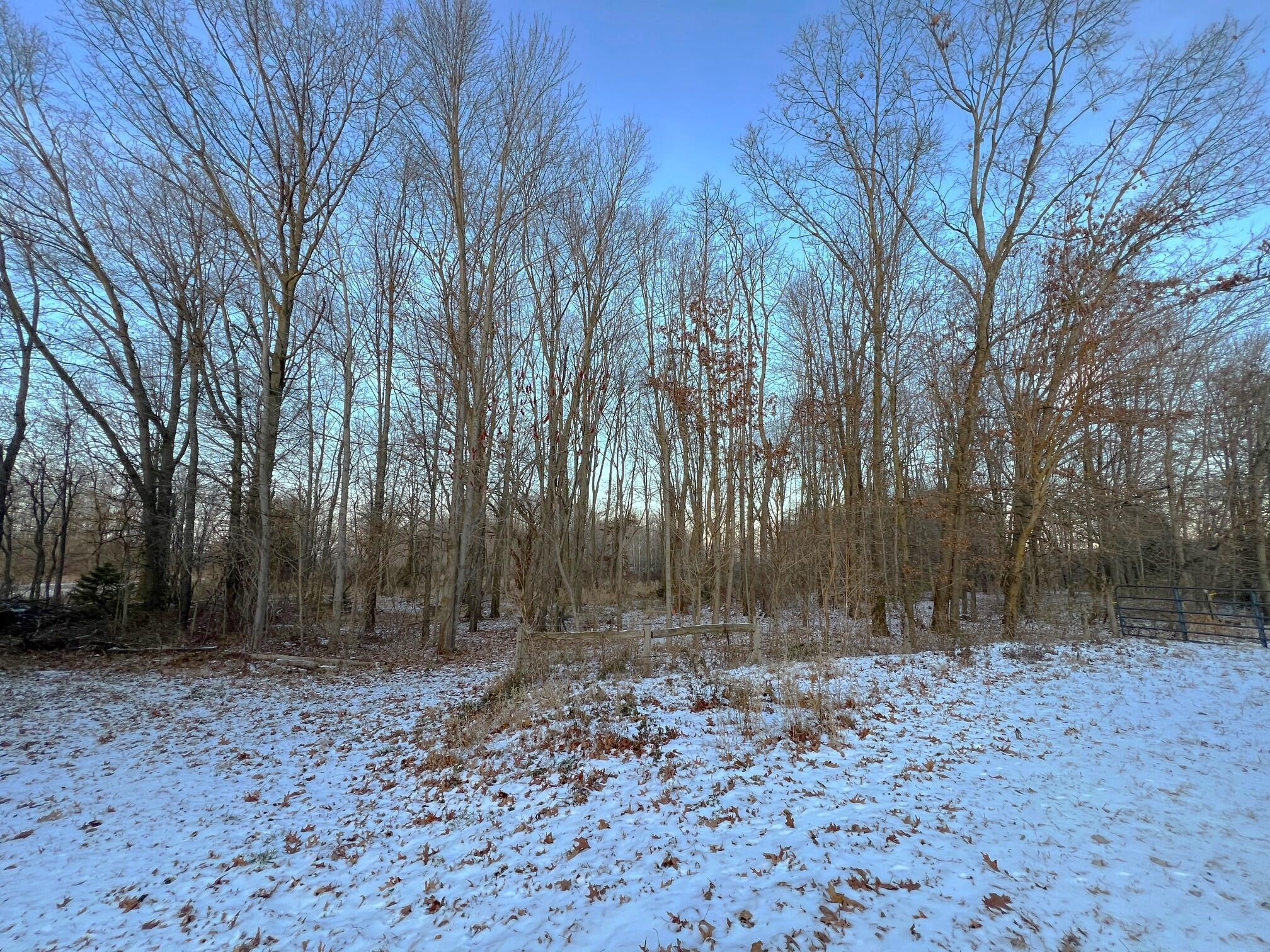 59445 Farrand Road Property Photo 29