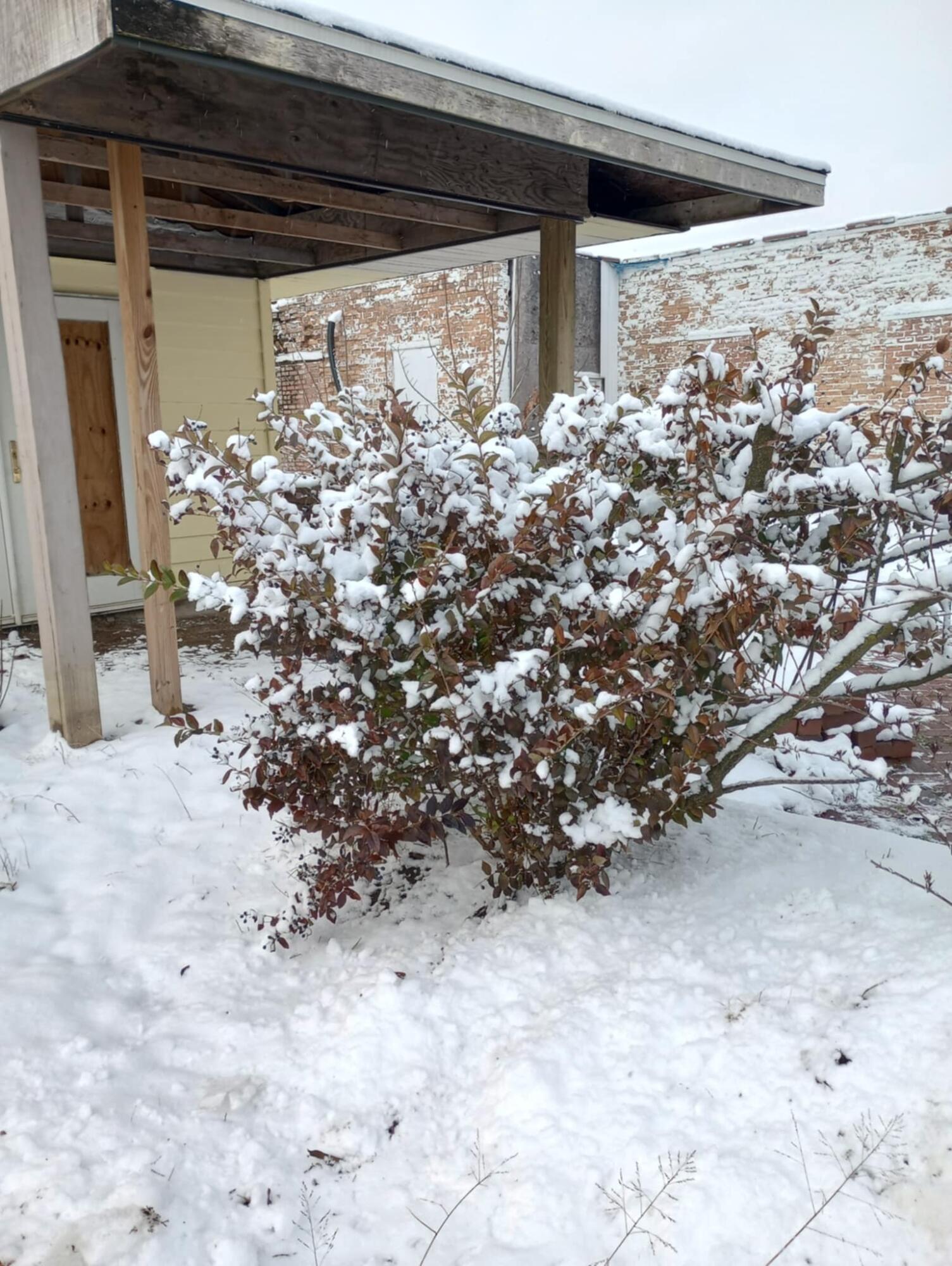 366 Pipestone Street Property Photo 7