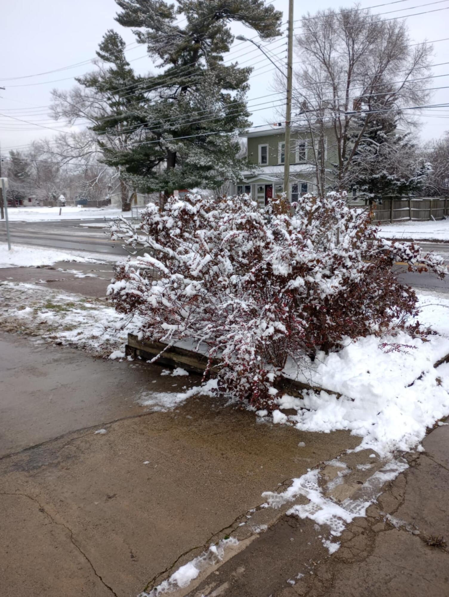 366 Pipestone Street Property Photo 10