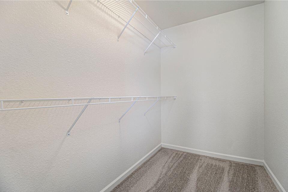 1515 Prairie Drive Property Photo 13