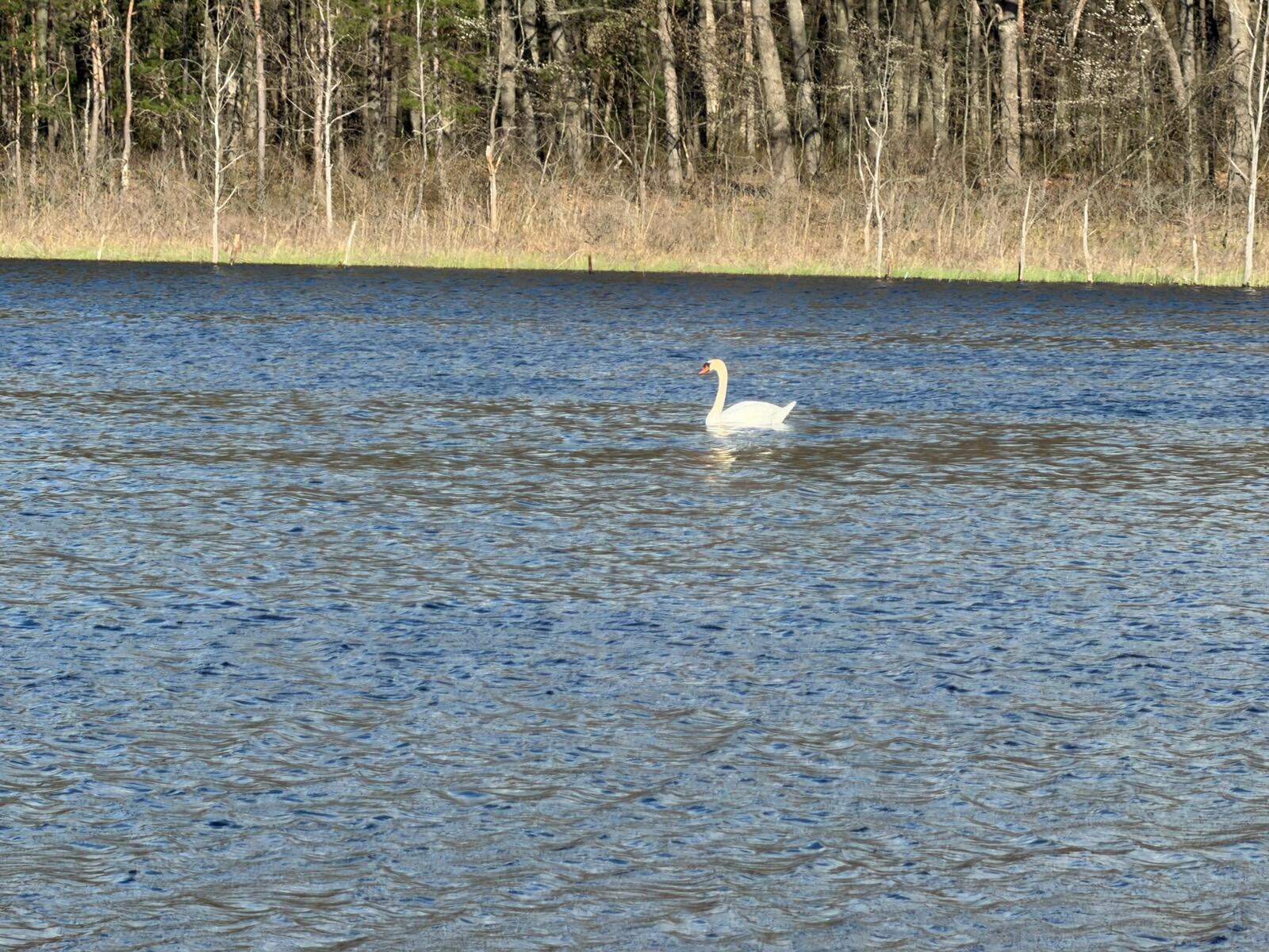 0 E Laketon Property Photo 3