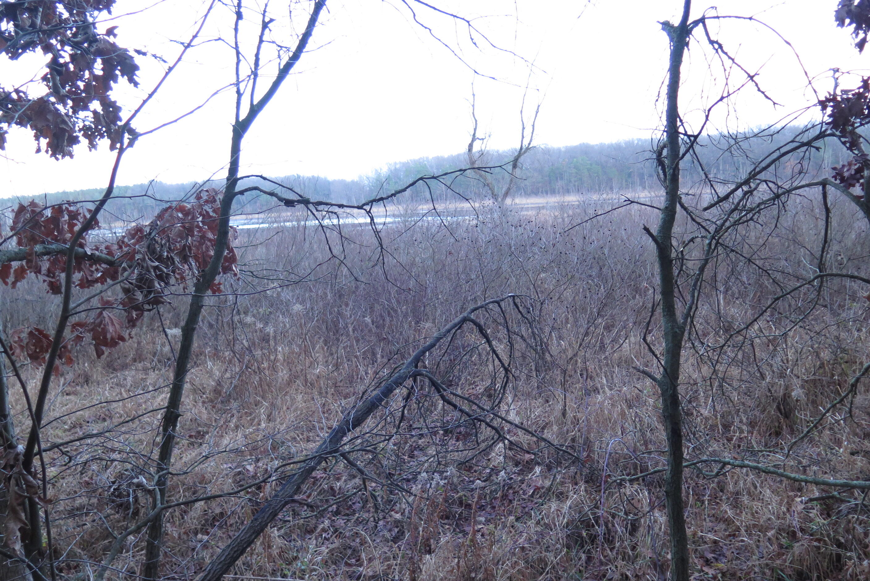 0 E Laketon Property Photo 7