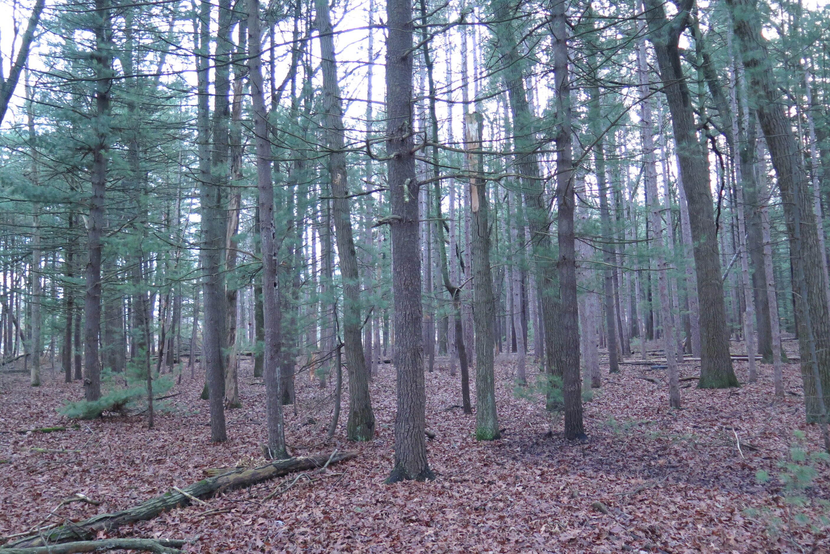 0 E Laketon Property Photo 9