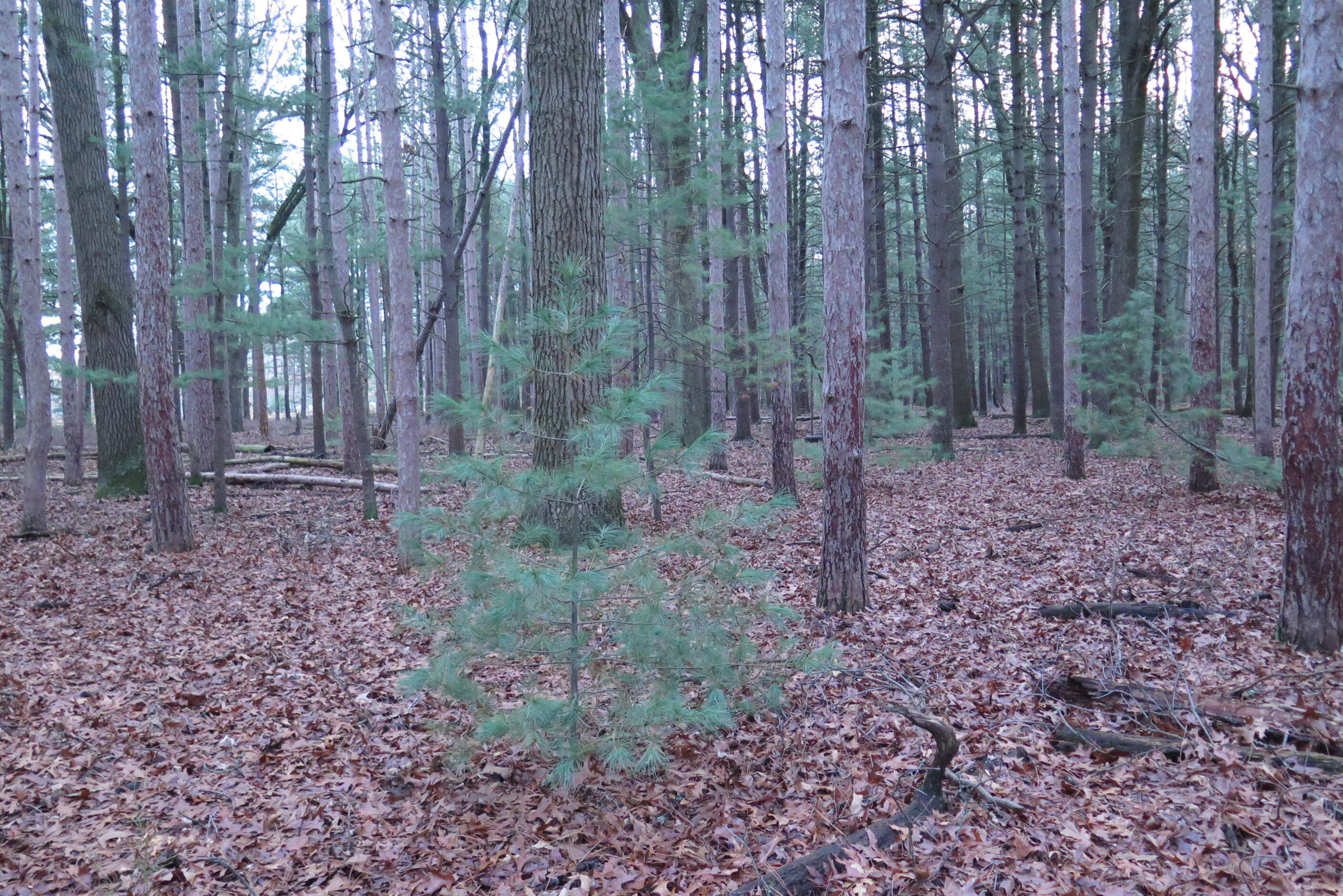 0 E Laketon Property Photo 10
