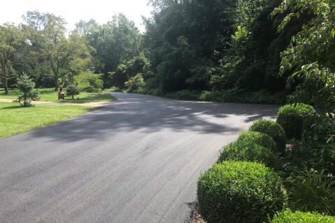 1640 Forest Trail Property Photo 12
