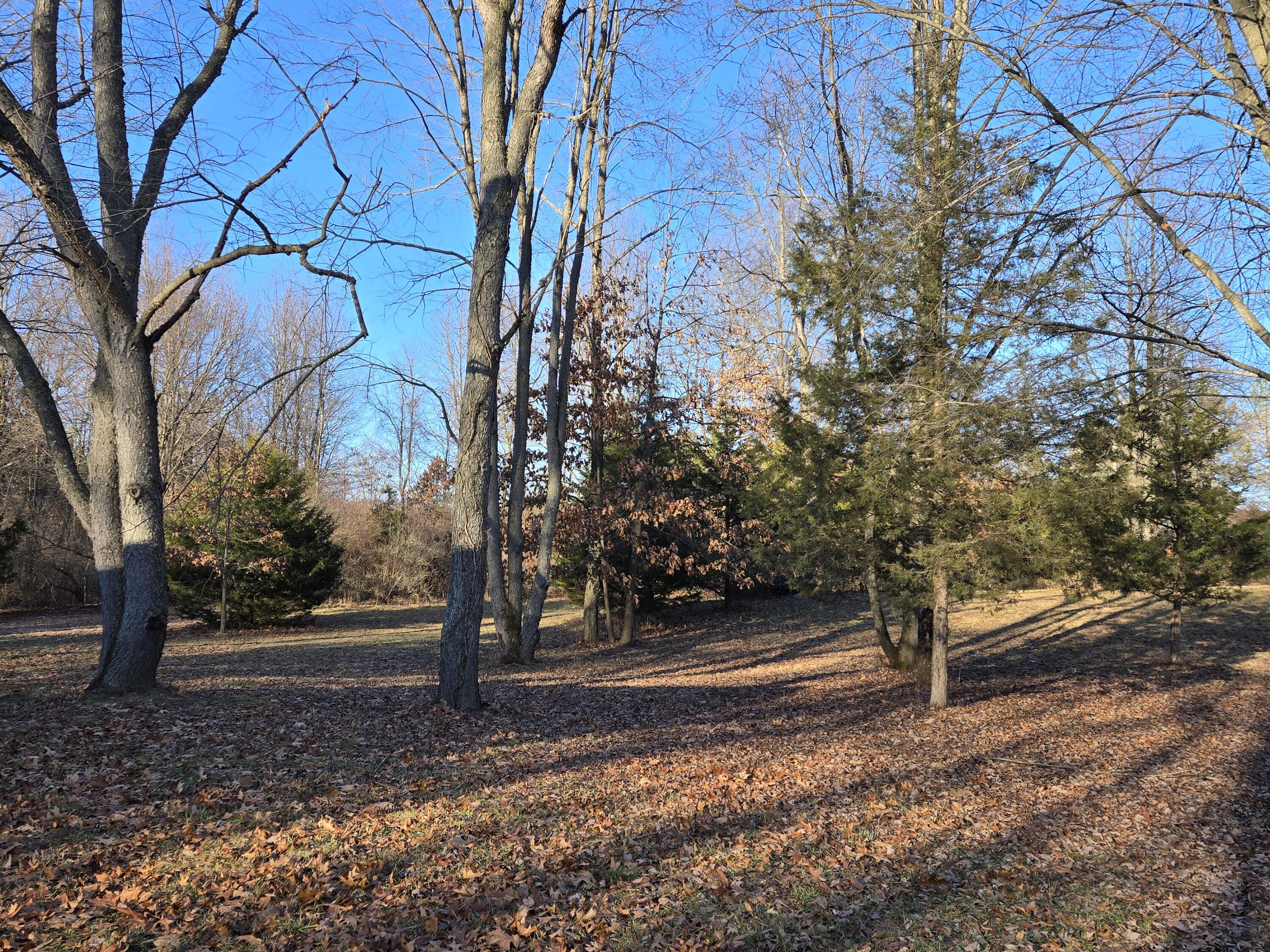 5706 Hinkley Road Property Photo 7