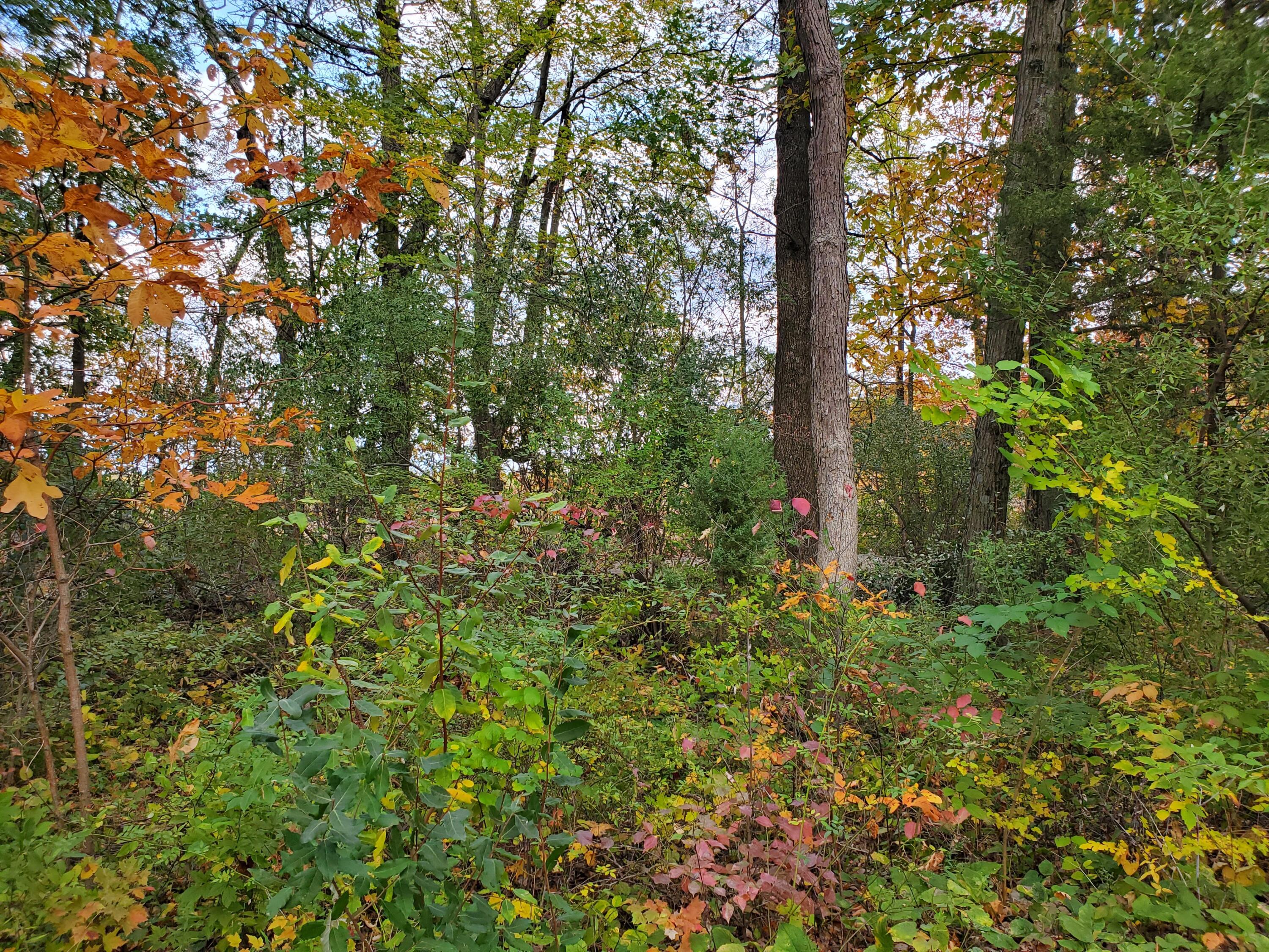 Vl N Shore Drive Property Photo 10
