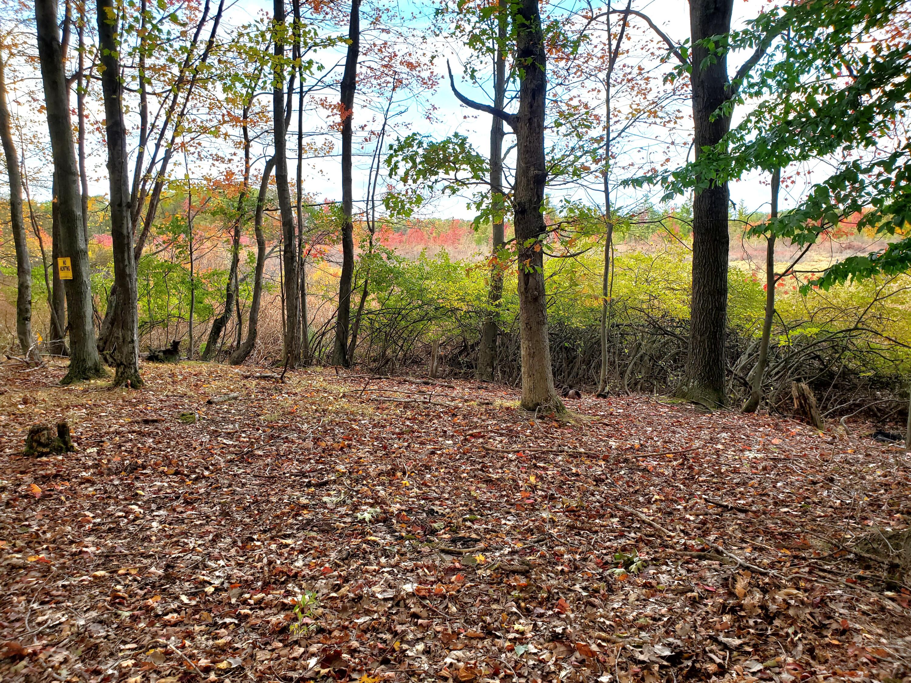 Vl N Shore Drive Property Photo 11