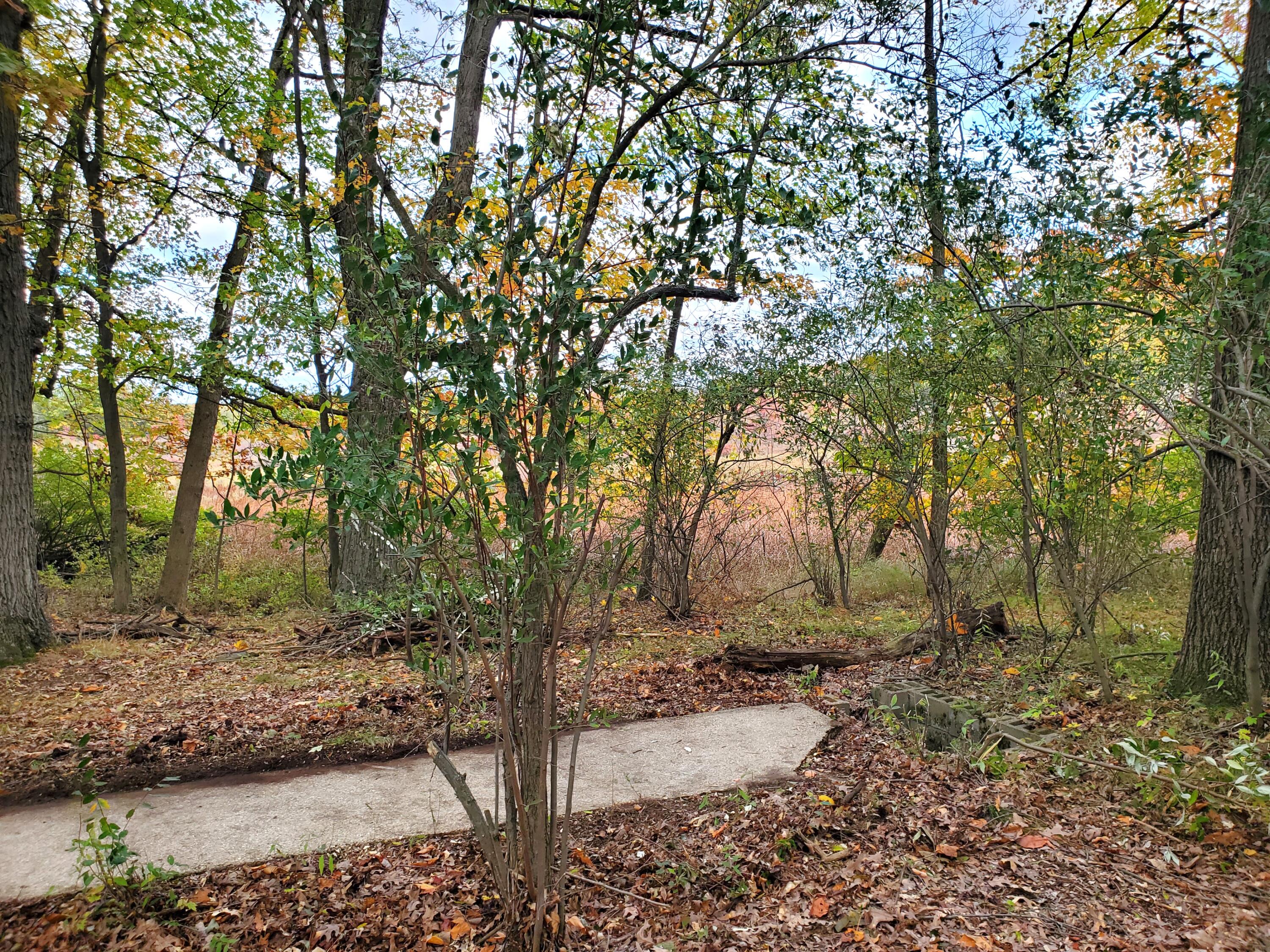 Vl N Shore Drive Property Photo 14
