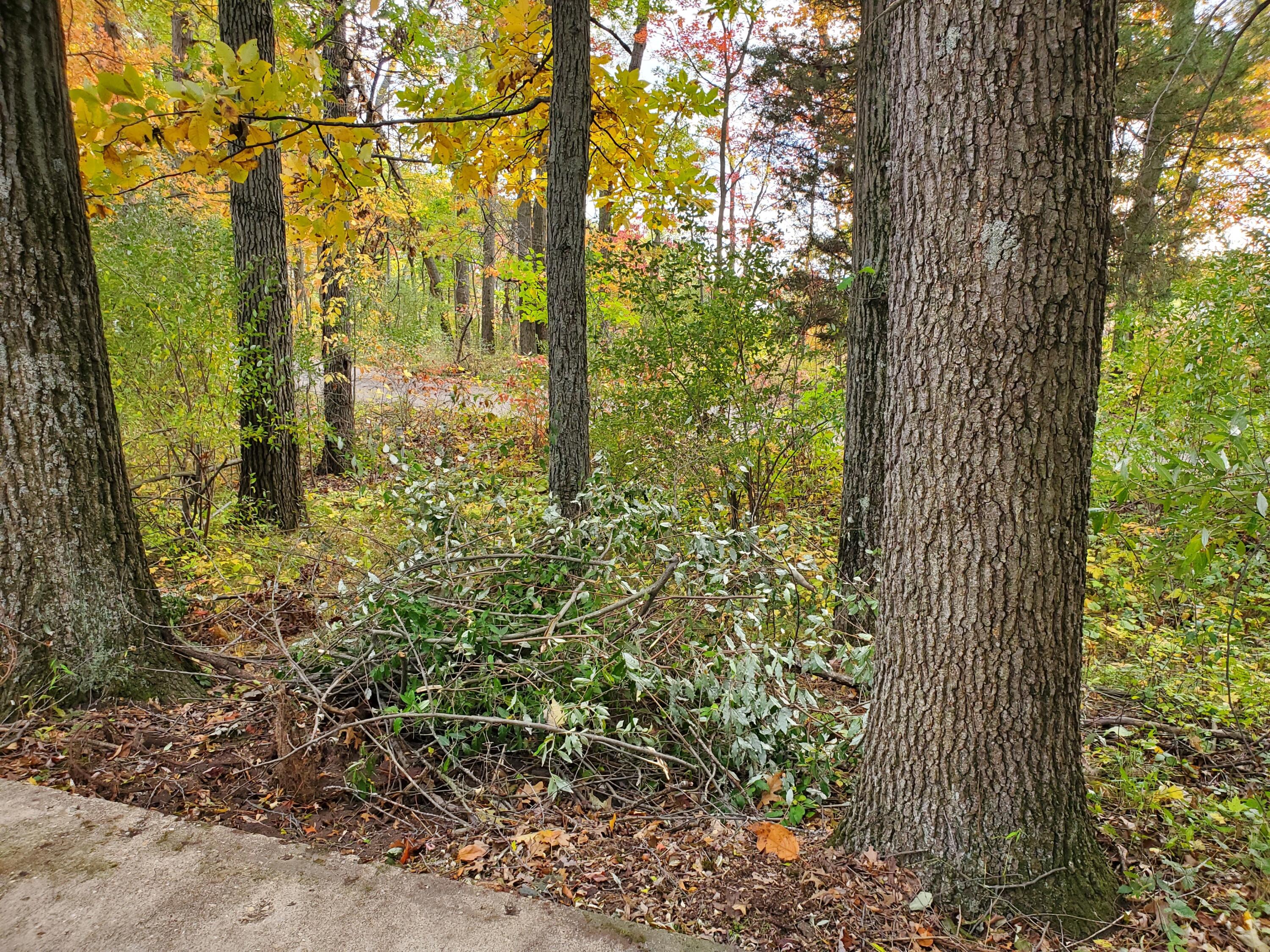 Vl N Shore Drive Property Photo 18