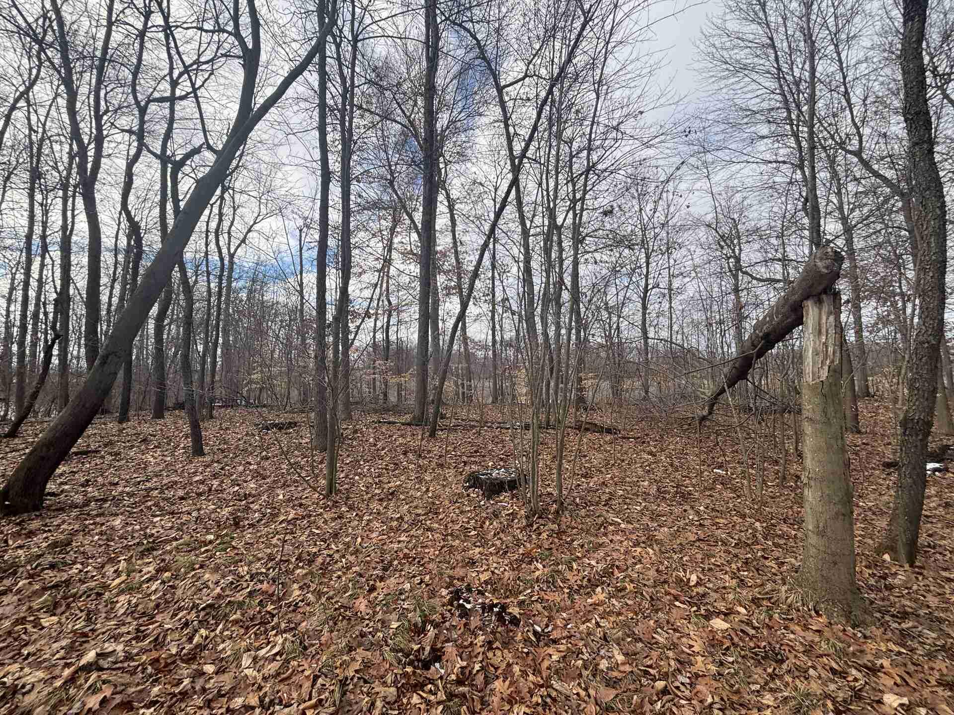 V/l 25a 89th Street Property Photo 7