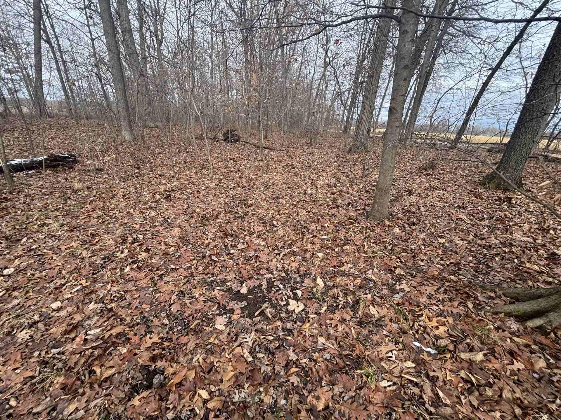 V/l 25a 89th Street Property Photo 8