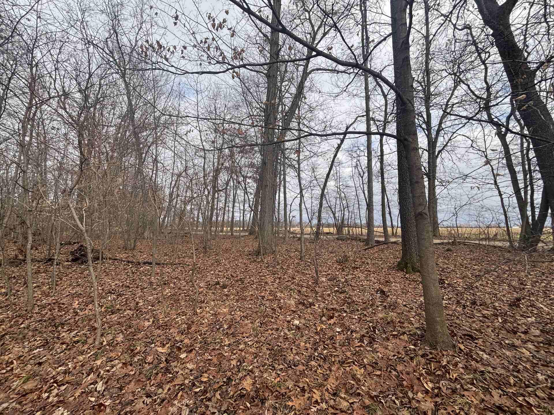 V/l 25a 89th Street Property Photo 10