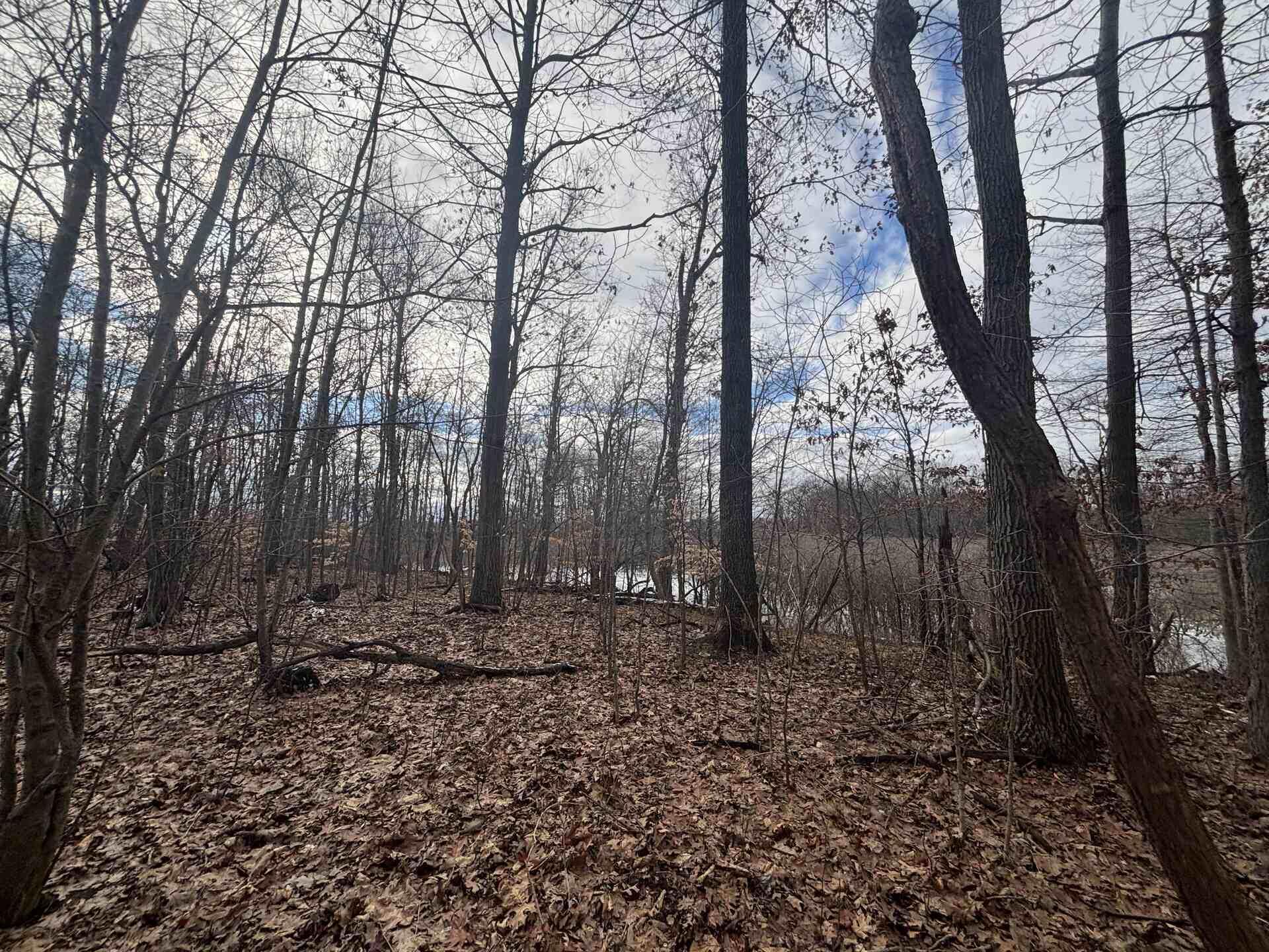 V/l 25a 89th Street Property Photo 14
