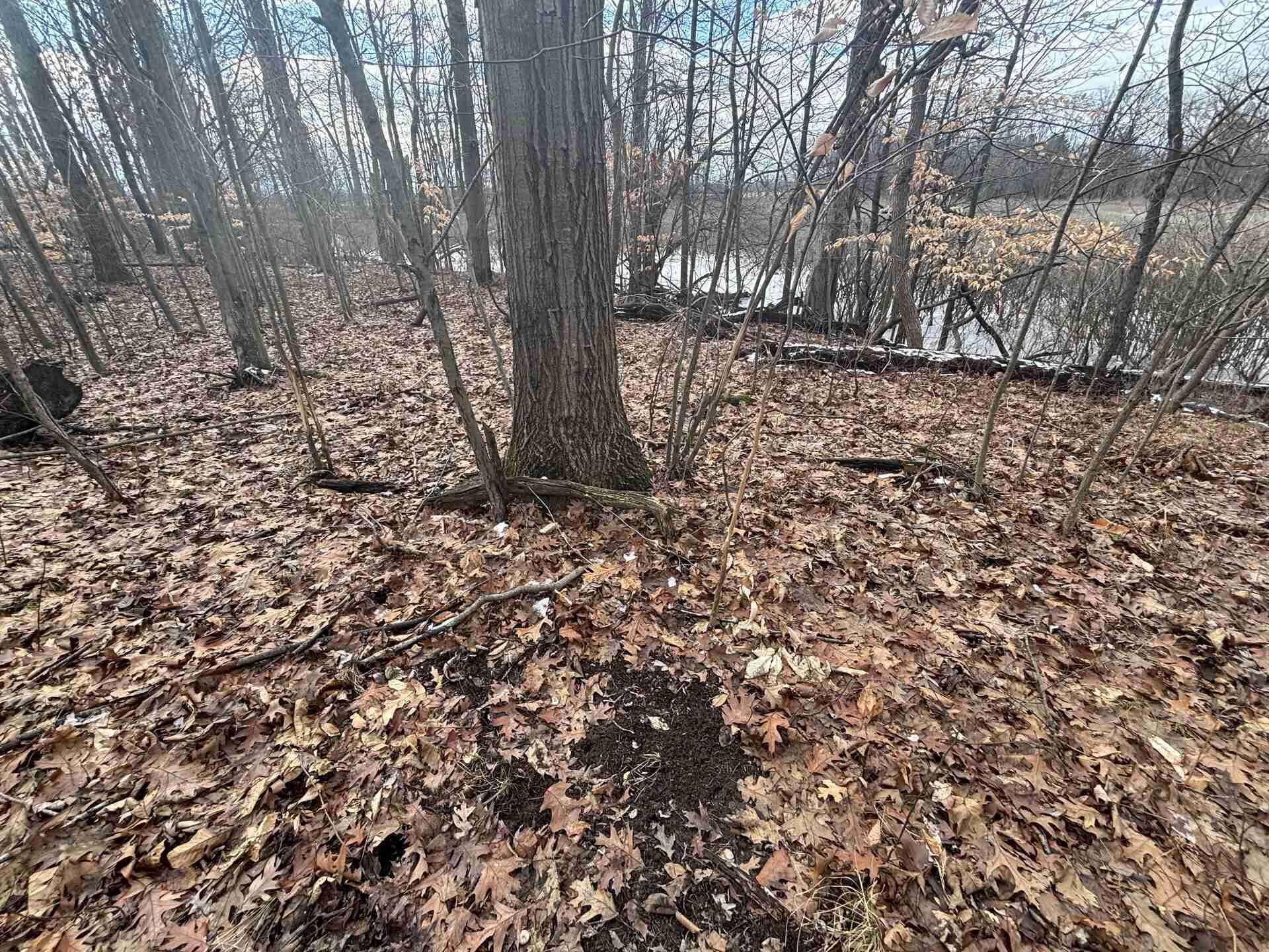 V/l 25a 89th Street Property Photo 15