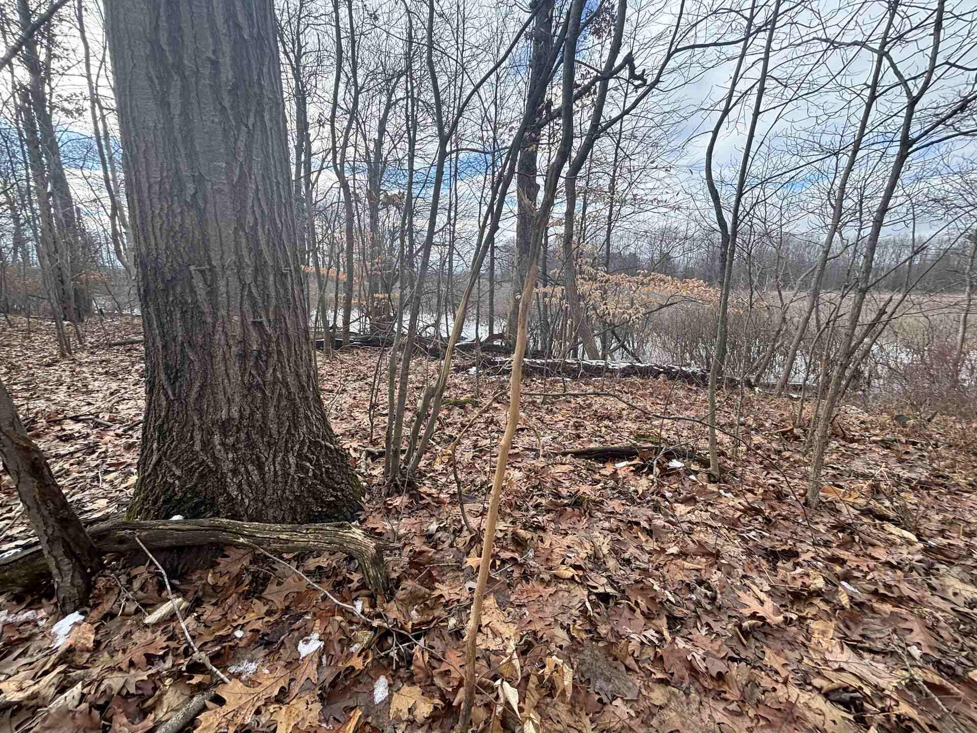 V/l 25a 89th Street Property Photo 16
