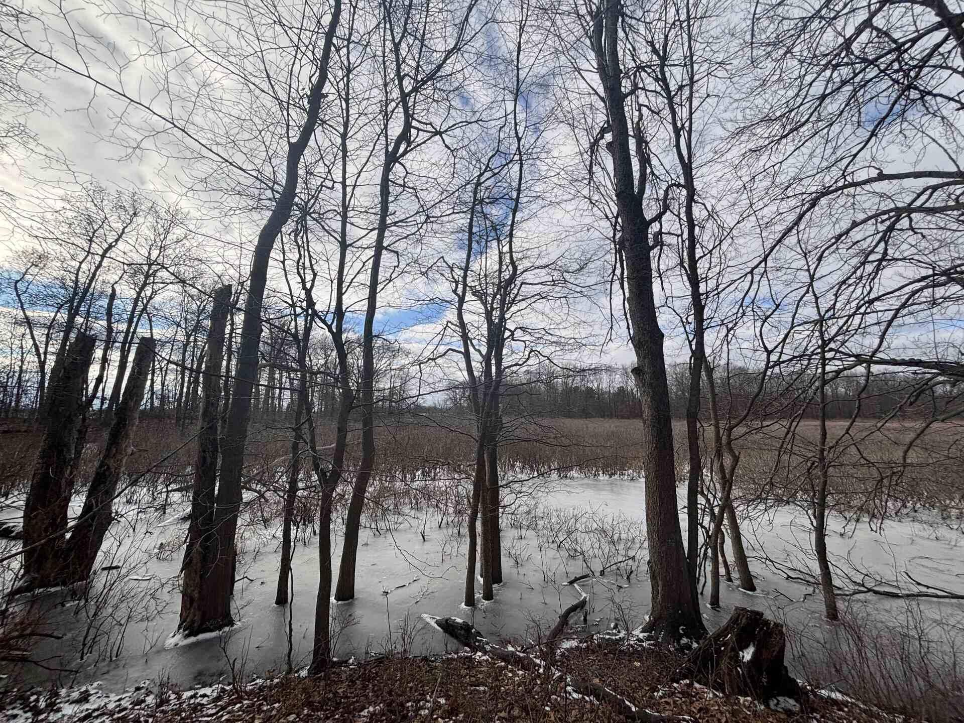 V/l 25a 89th Street Property Photo 20