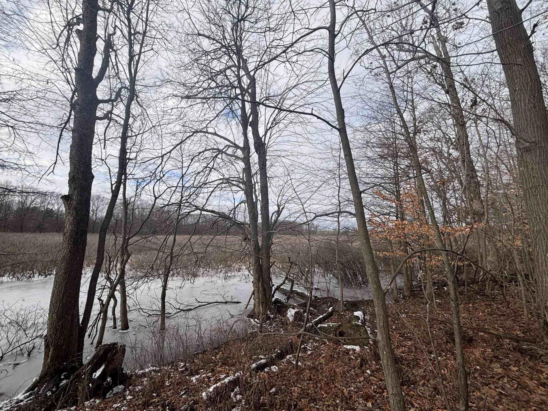 V/l 25a 89th Street Property Photo 21