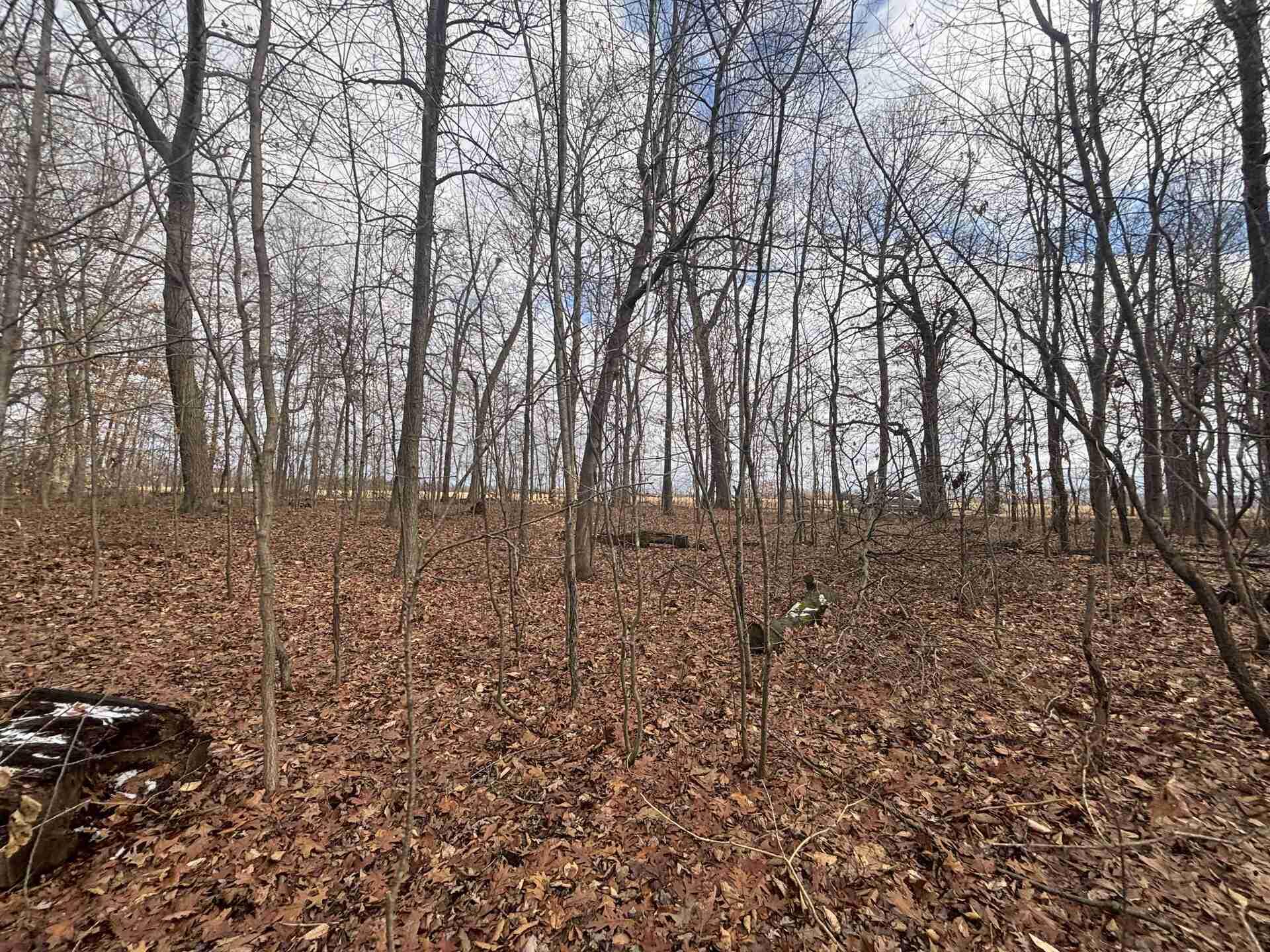 V/l 25a 89th Street Property Photo 22