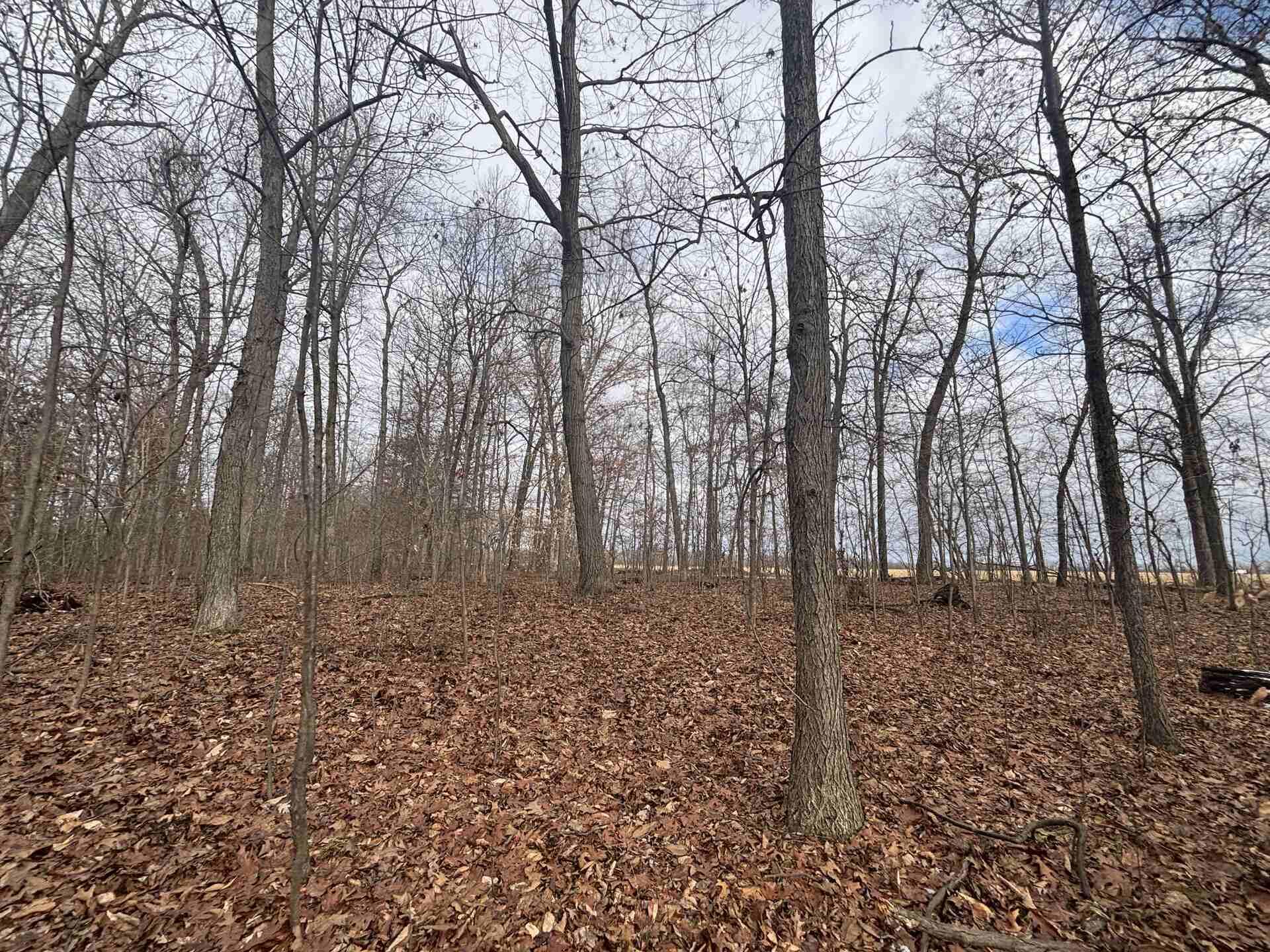 V/l 25a 89th Street Property Photo 23