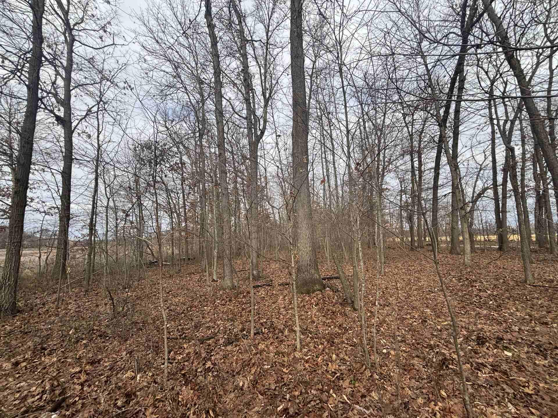 V/l 25a 89th Street Property Photo 25