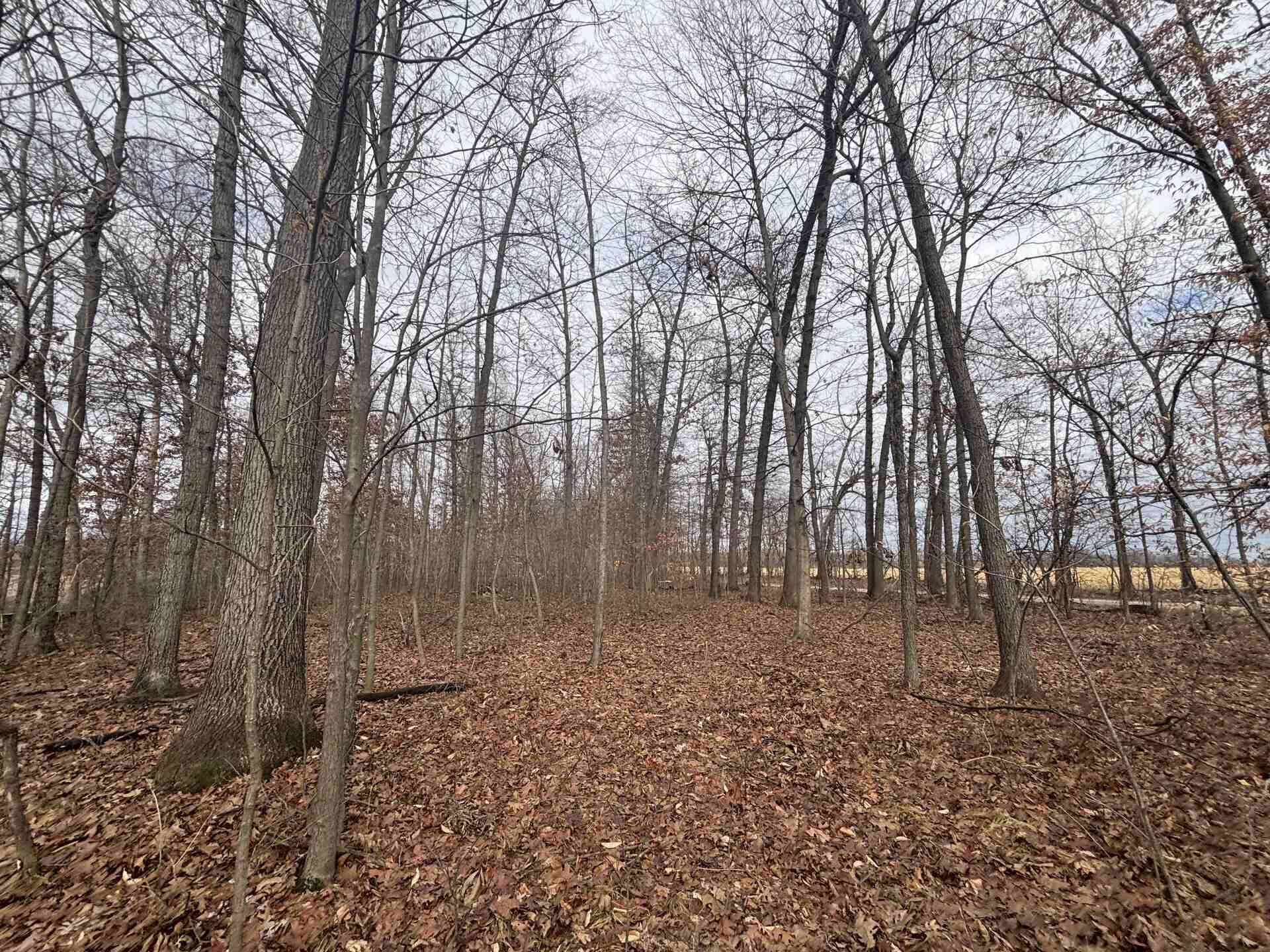 V/l 25a 89th Street Property Photo 26