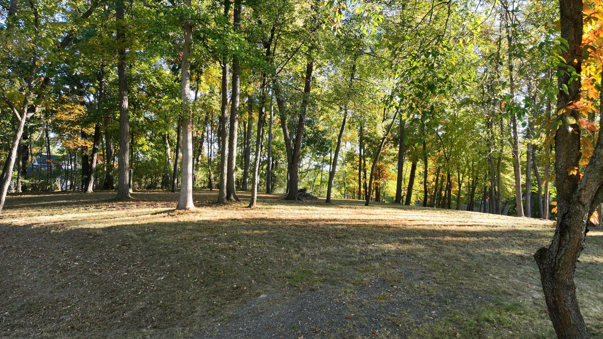 0 Lake Bluff Drive Property Photo 2