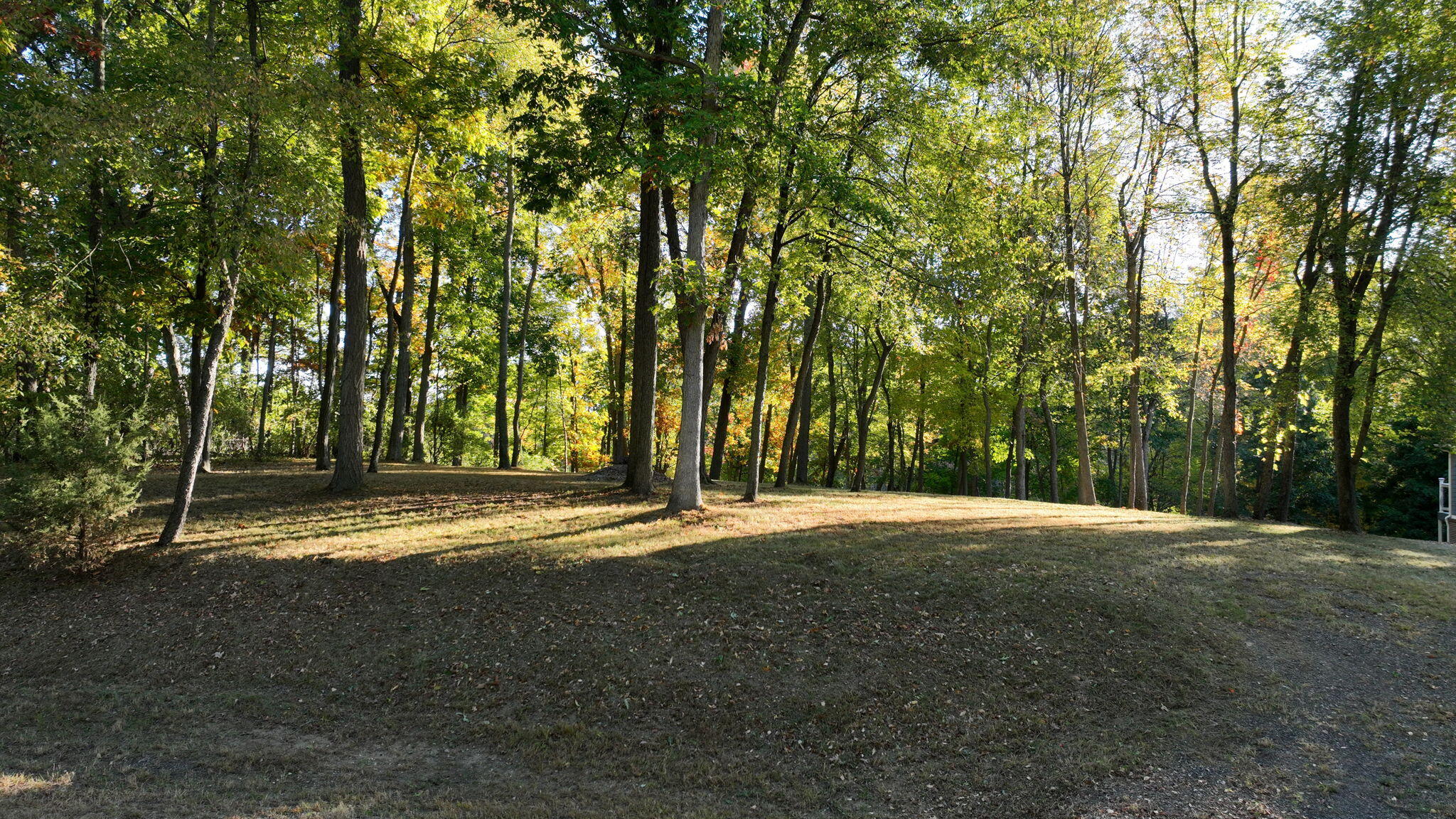 0 Lake Bluff Drive Property Photo 3