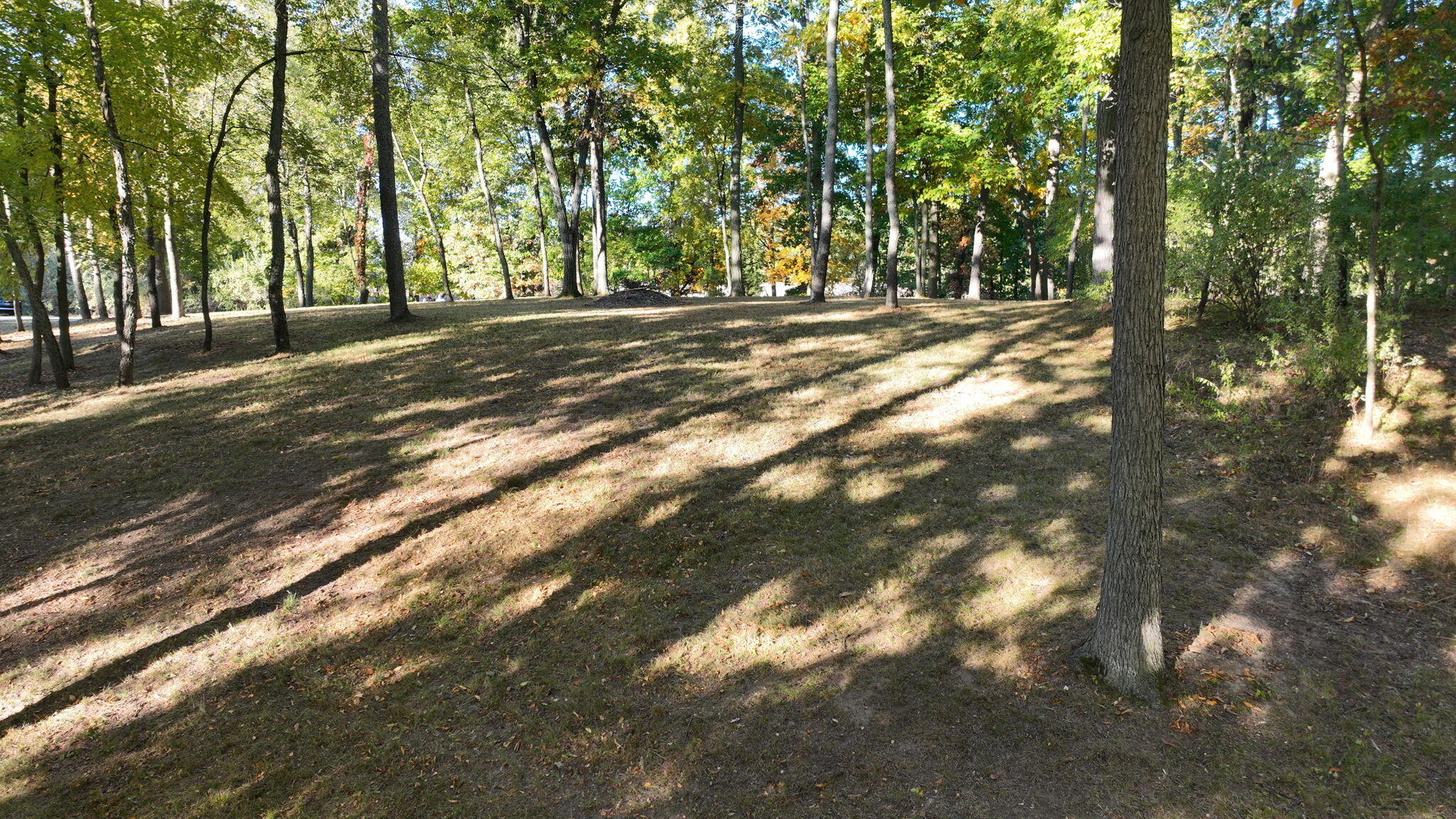 0 Lake Bluff Drive Property Photo 4