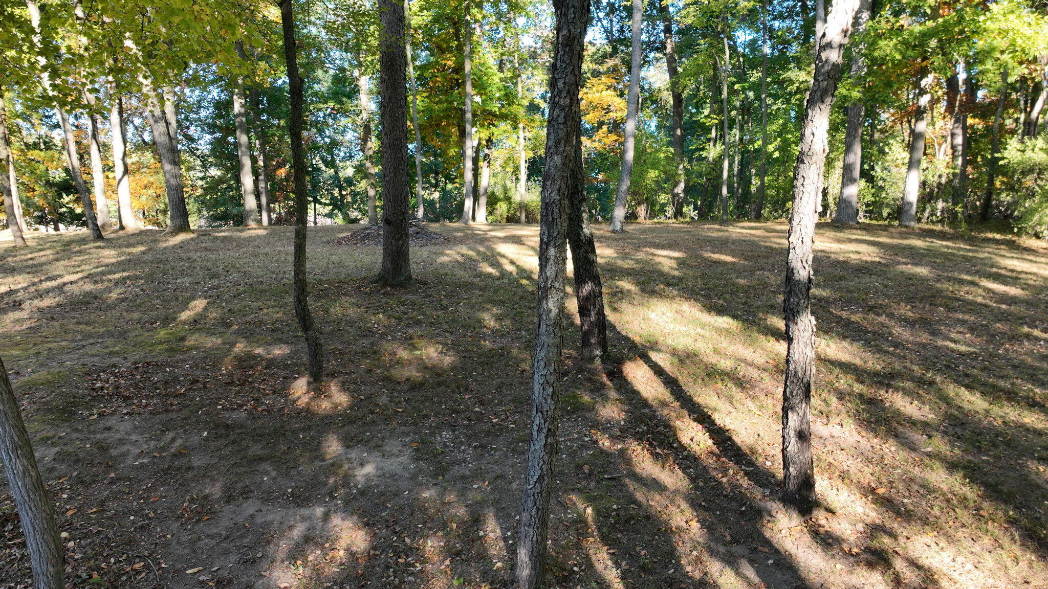 0 Lake Bluff Drive Property Photo 5
