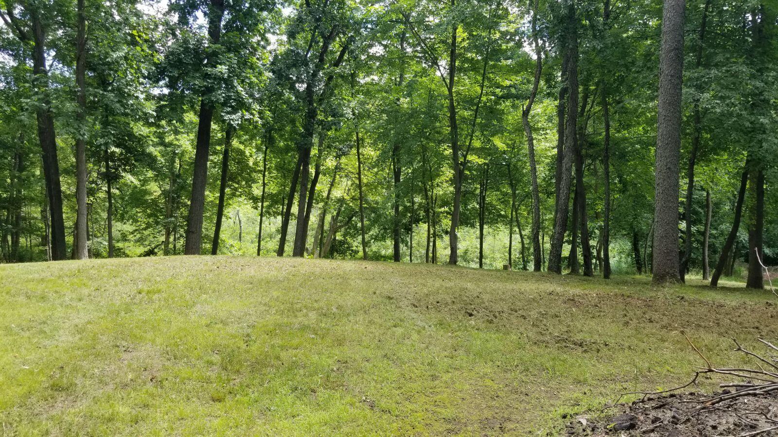 0 Lake Bluff Drive Property Photo 9