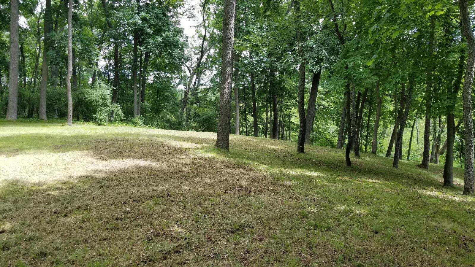 0 Lake Bluff Drive Property Photo 11