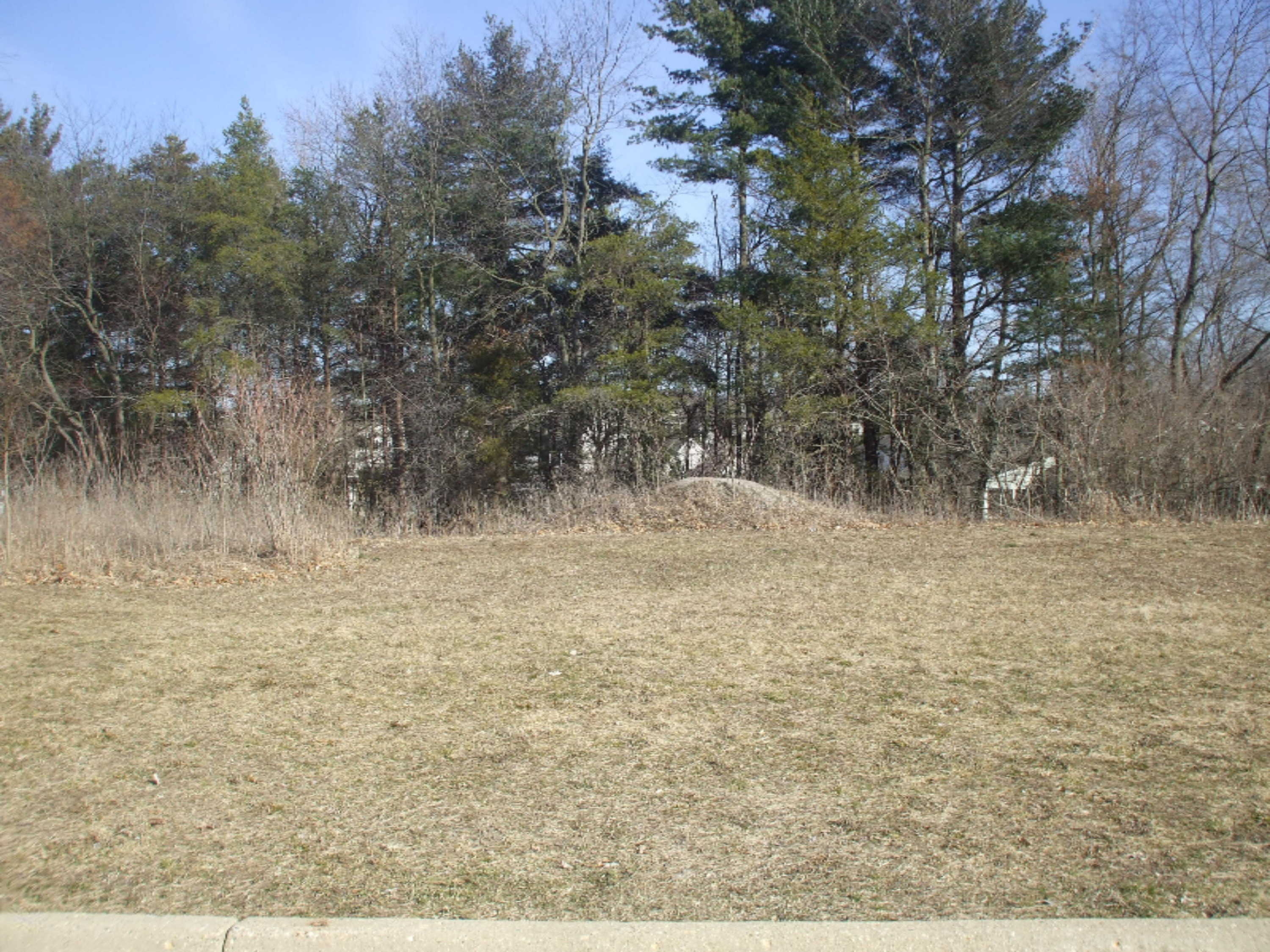 2648 Hunters Point Property Photo 2