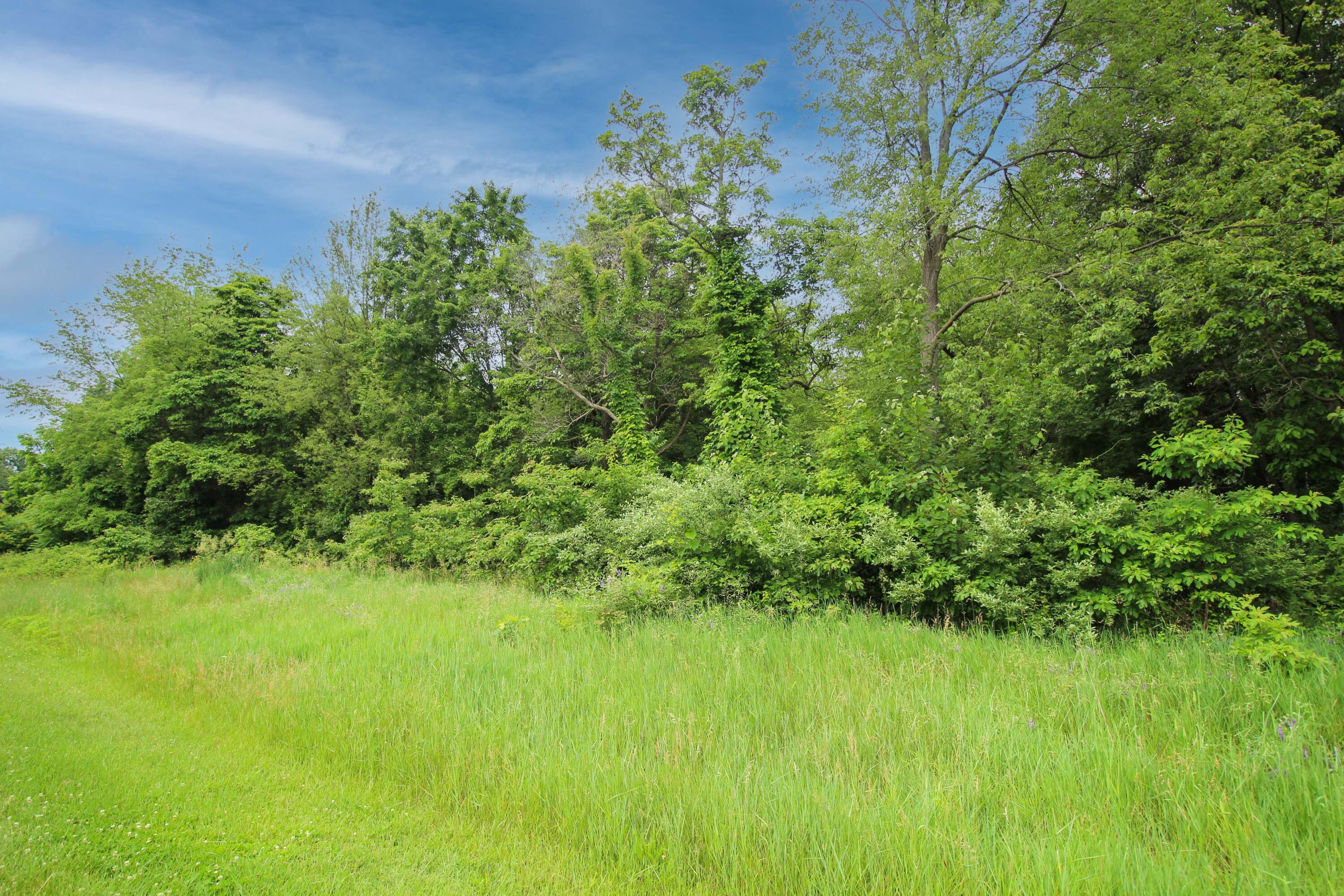 61570 Raintree Boulevard Property Photo 2