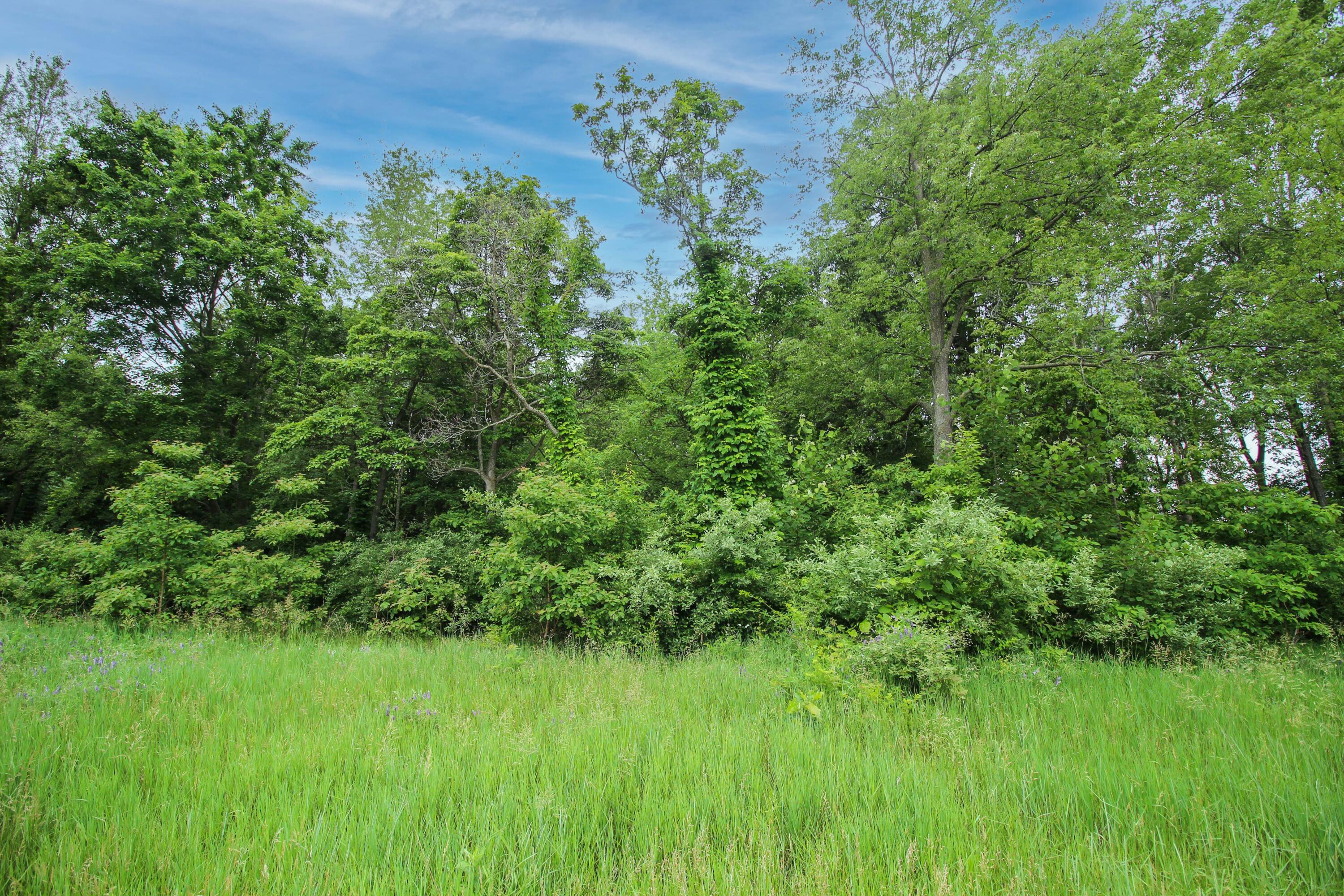 61570 Raintree Boulevard Property Photo 3