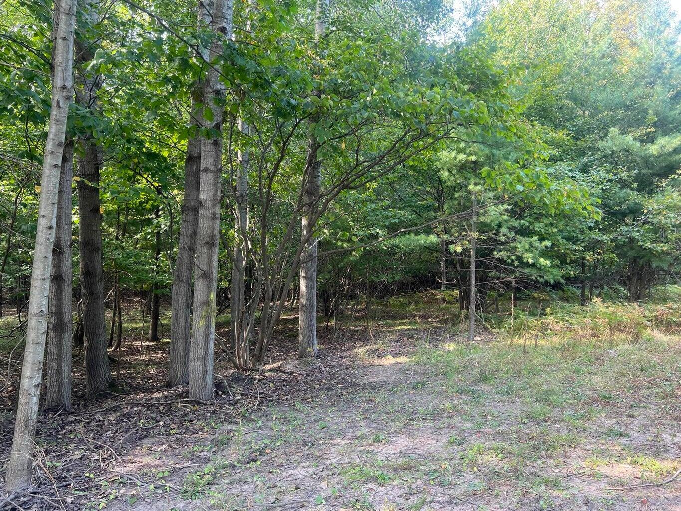V/l Chippewa Hwy, Parcel C Property Photo 9